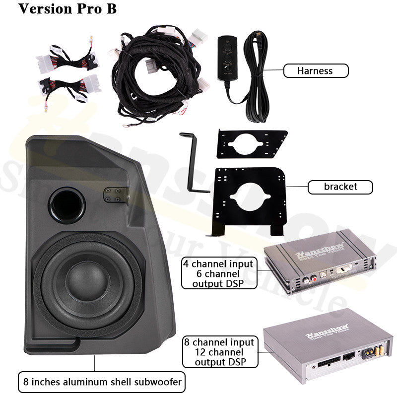 Model 3 SR Premium Audio Upgrade | Hansshow